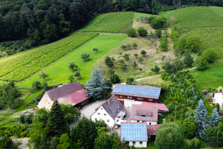 Kaltenbach. Wildtäler Wein