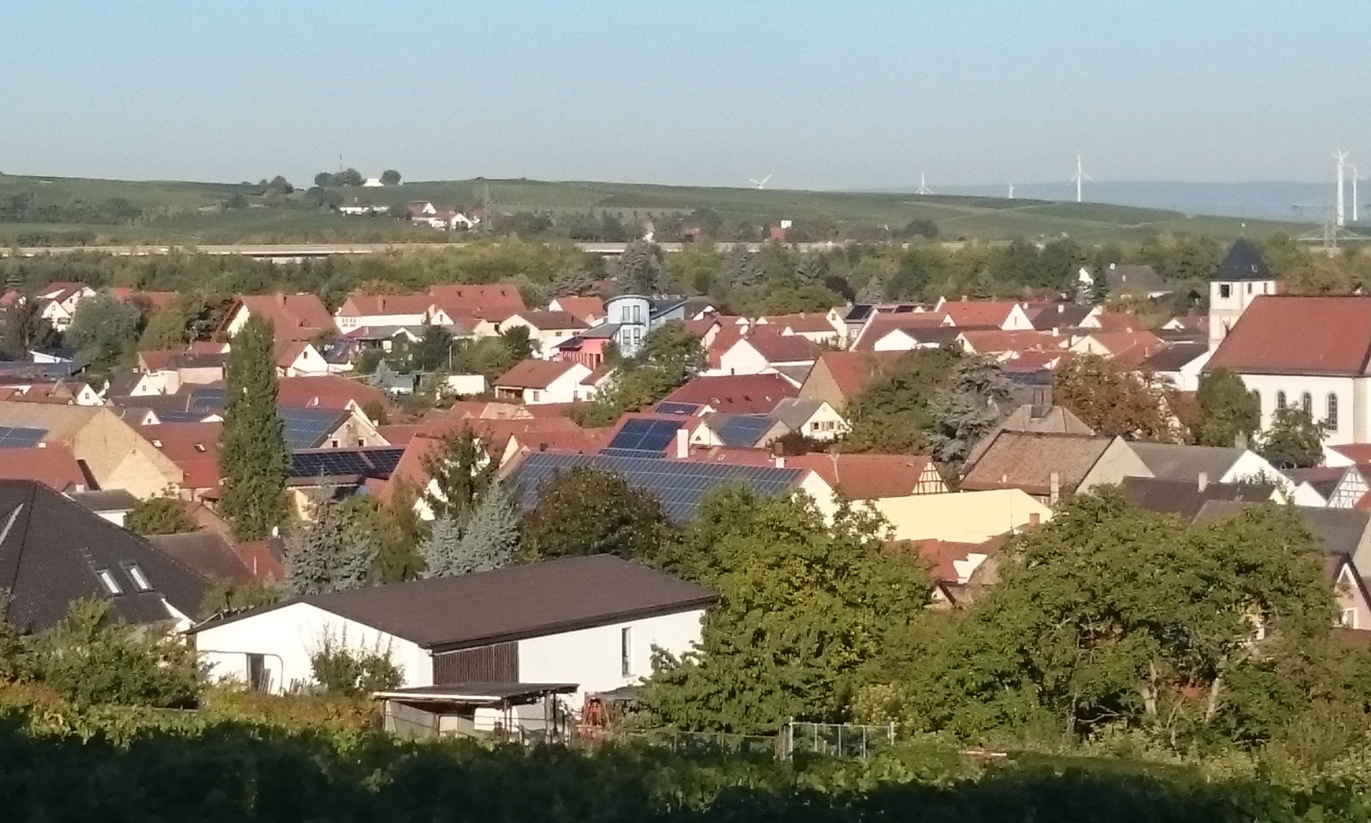 Weingut Knell