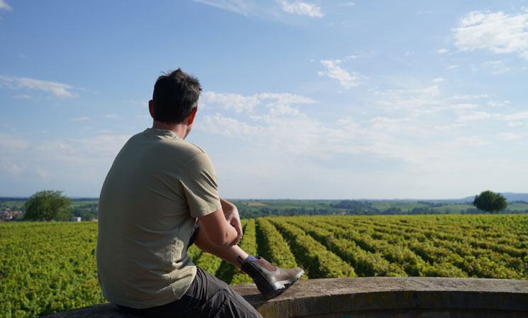 Weingut Ottmar Lang