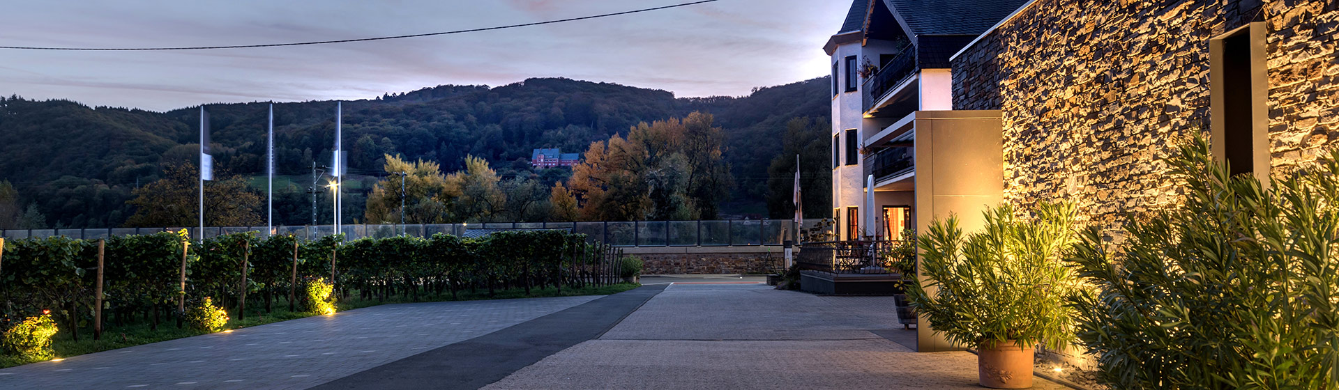 Weingut Scheidgen