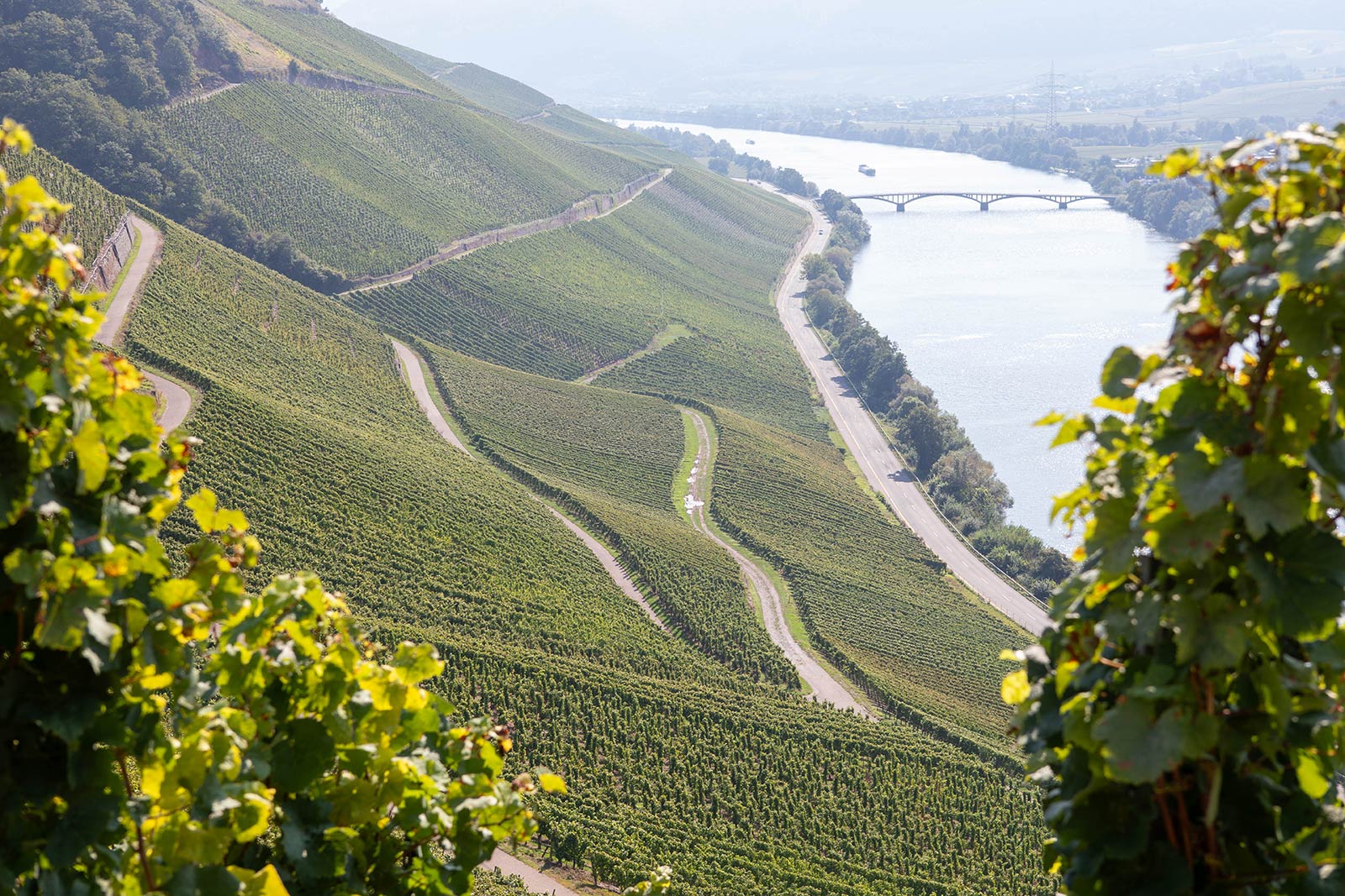 Weingut Bernhard Eifel