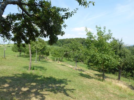 Obstbau Joachim Schmitt