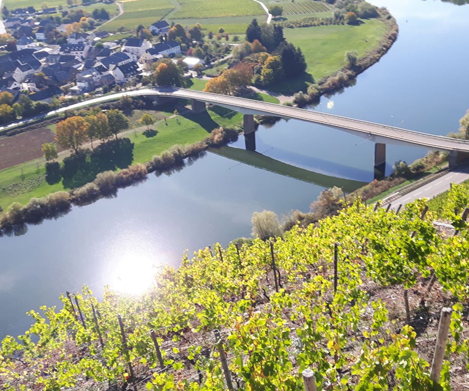 Weingut Blesius-Jostock