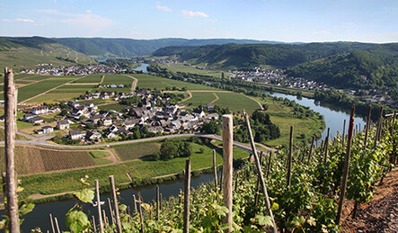 Weingut Loewen