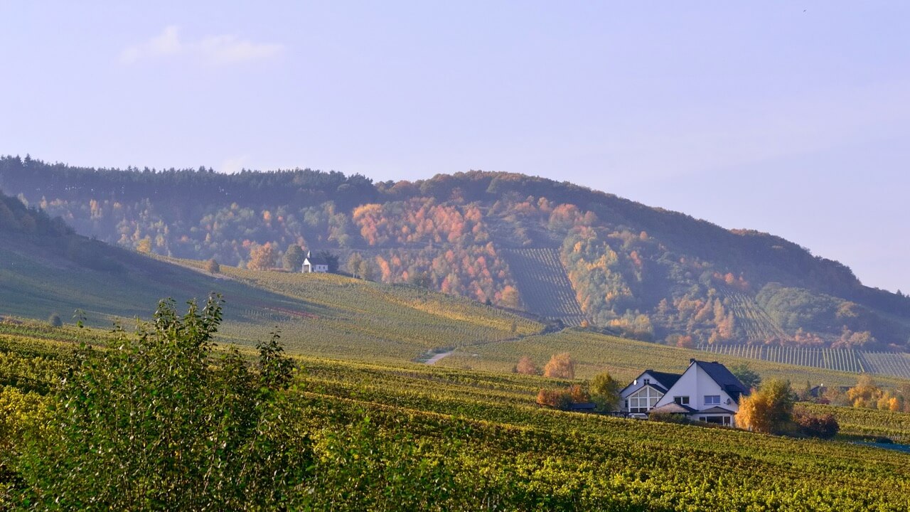 Weingut Blees-Ferber