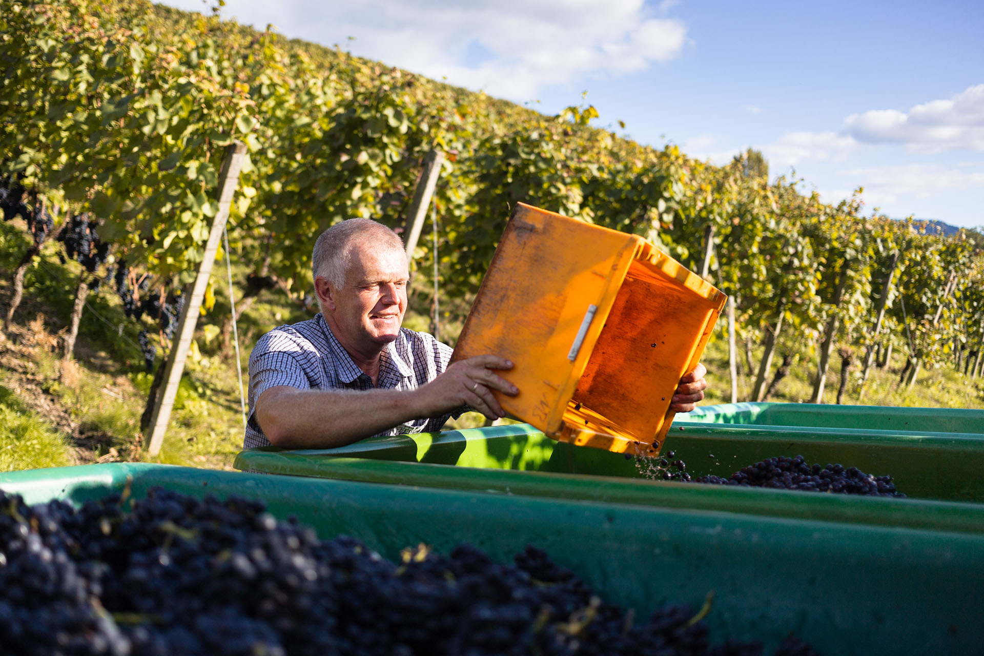 Weingut Maximilian Bohnert