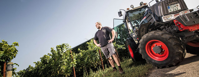 Weingut Walter Merk