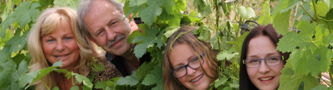 Weingut Johannes Büttner