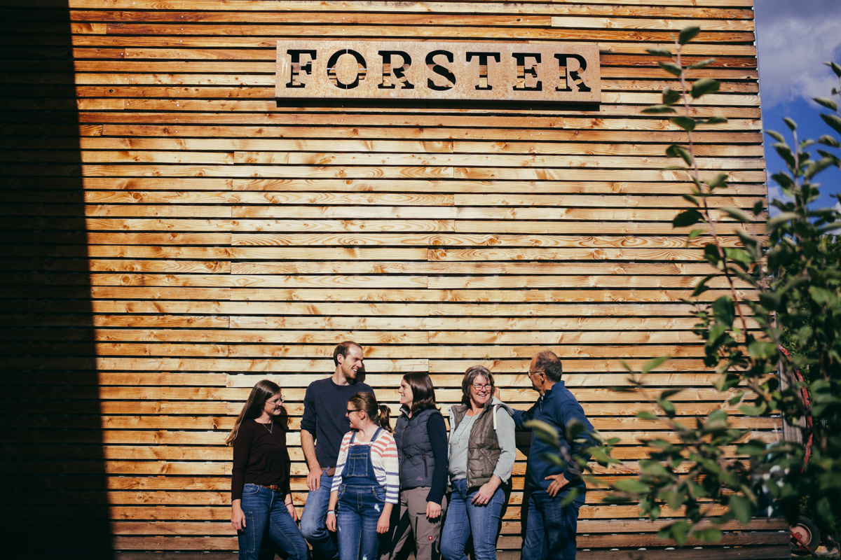 Weingut Forster