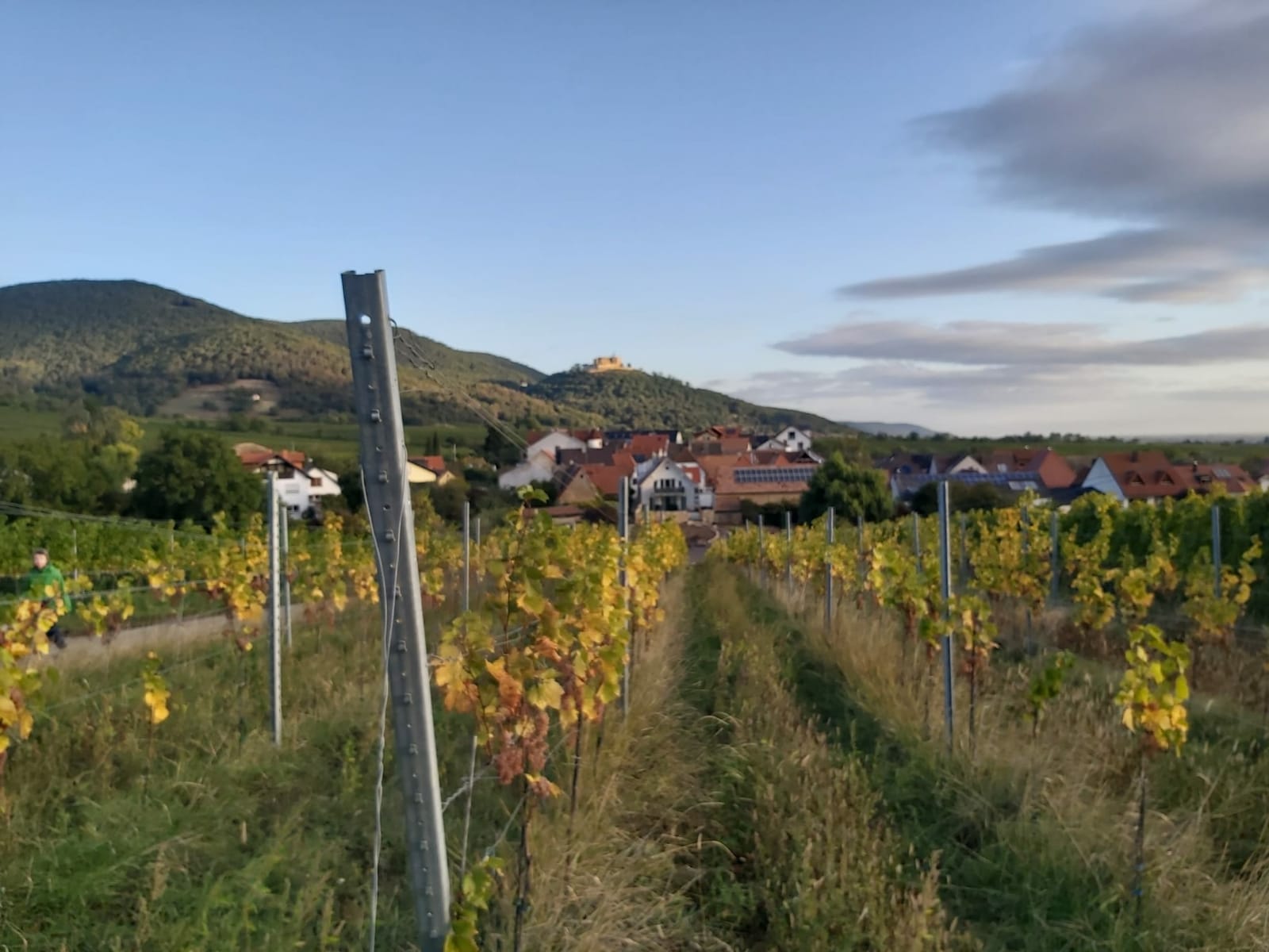 Weingut Stortz