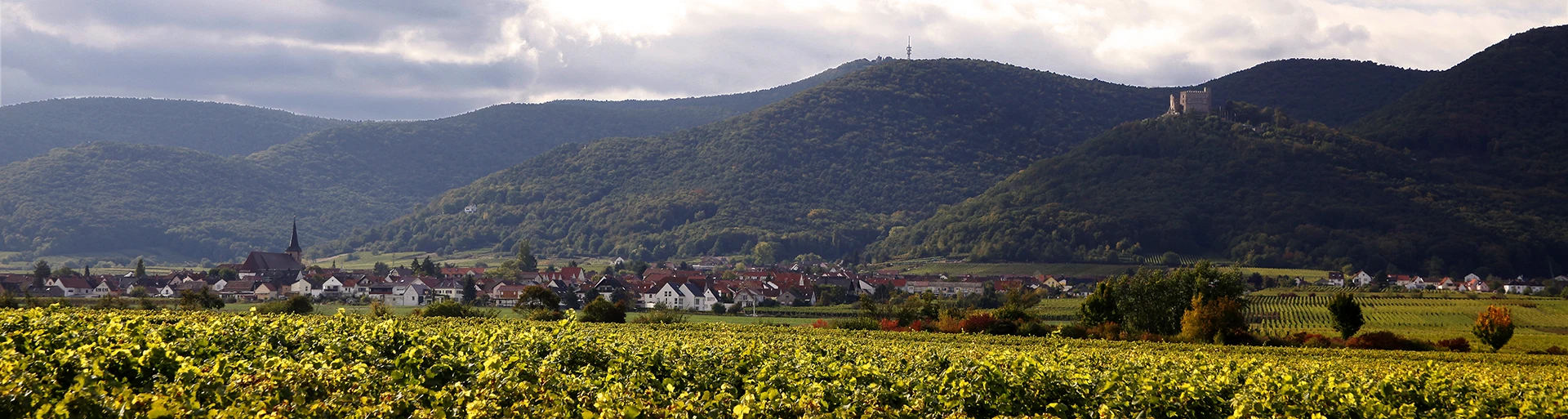 Wein- & Sektgut Corbet