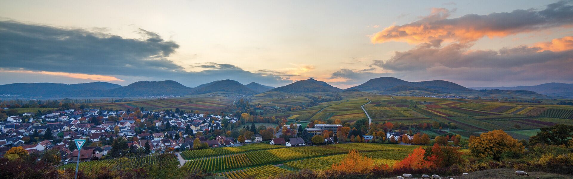 Weingut Silbernagel