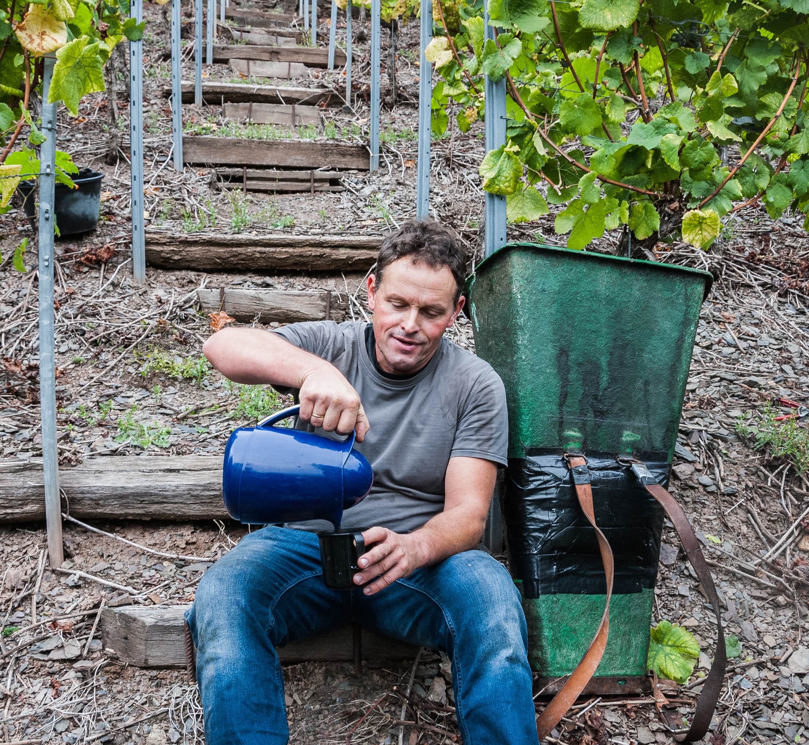 Weingut Manfred Stein & Sohn