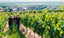 Weingut Lamberth