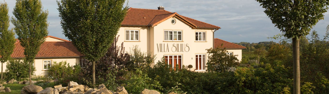 Weingut Villa Silius