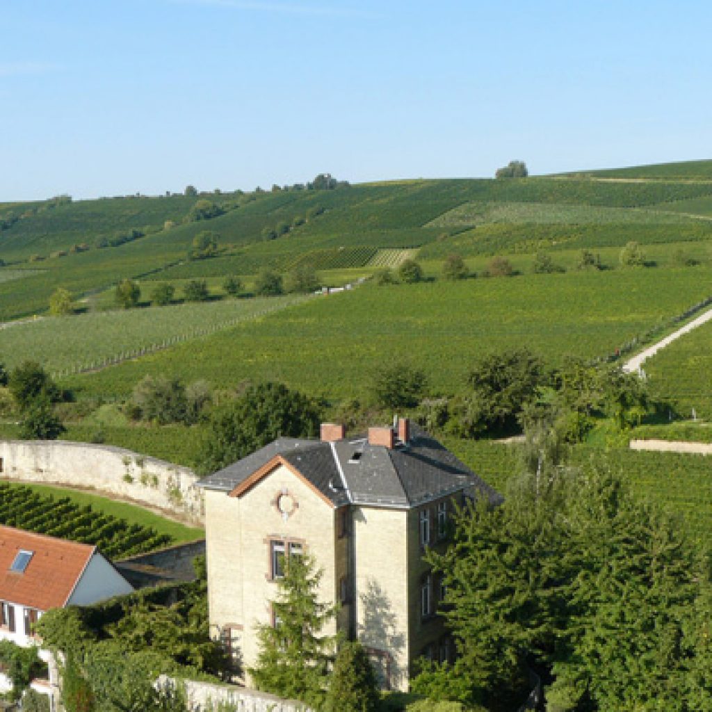 Weingut Dr. Dahlem