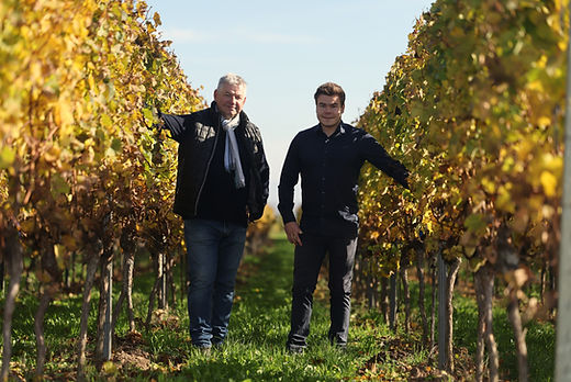 Weingut Schützenhof - Blass