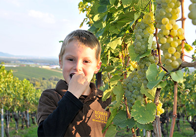 Weingut Roman Sauer