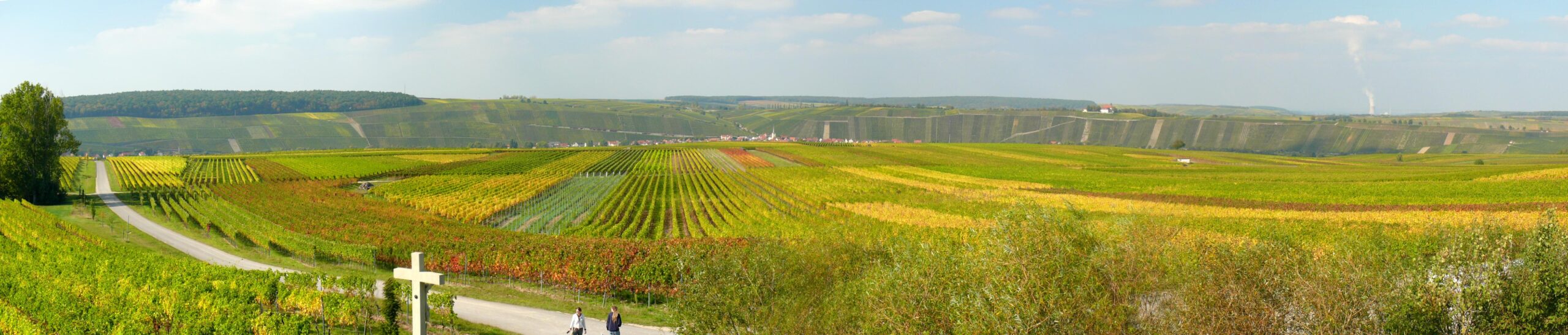 Weingut Kram