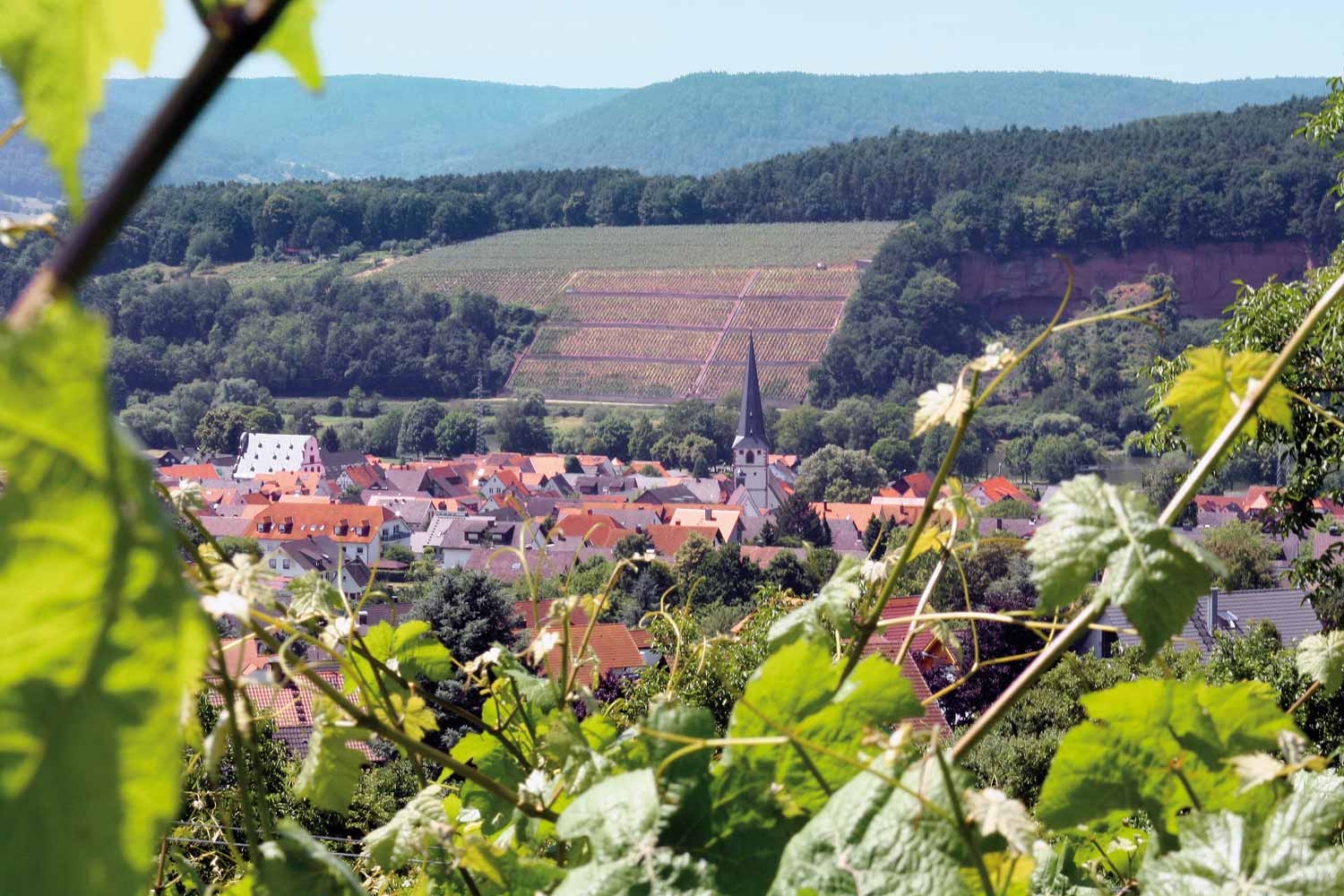 Weingut Helmstetter
