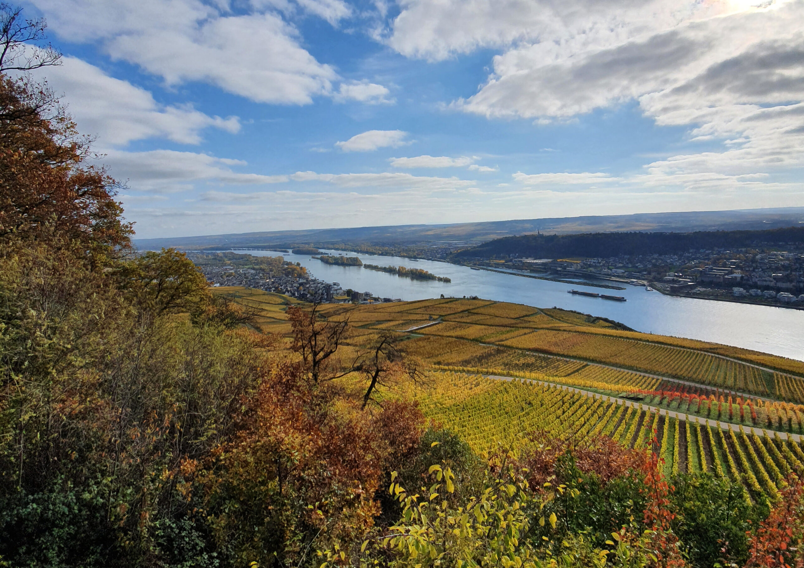 Weingut Heinz Störzel Inhaber Martin Störzel