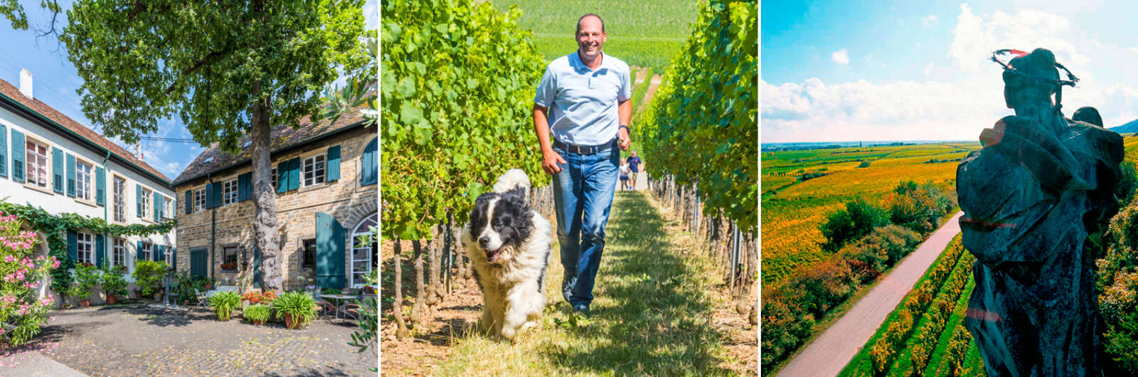 Eugen Spindler- Weingut Lindenhof
