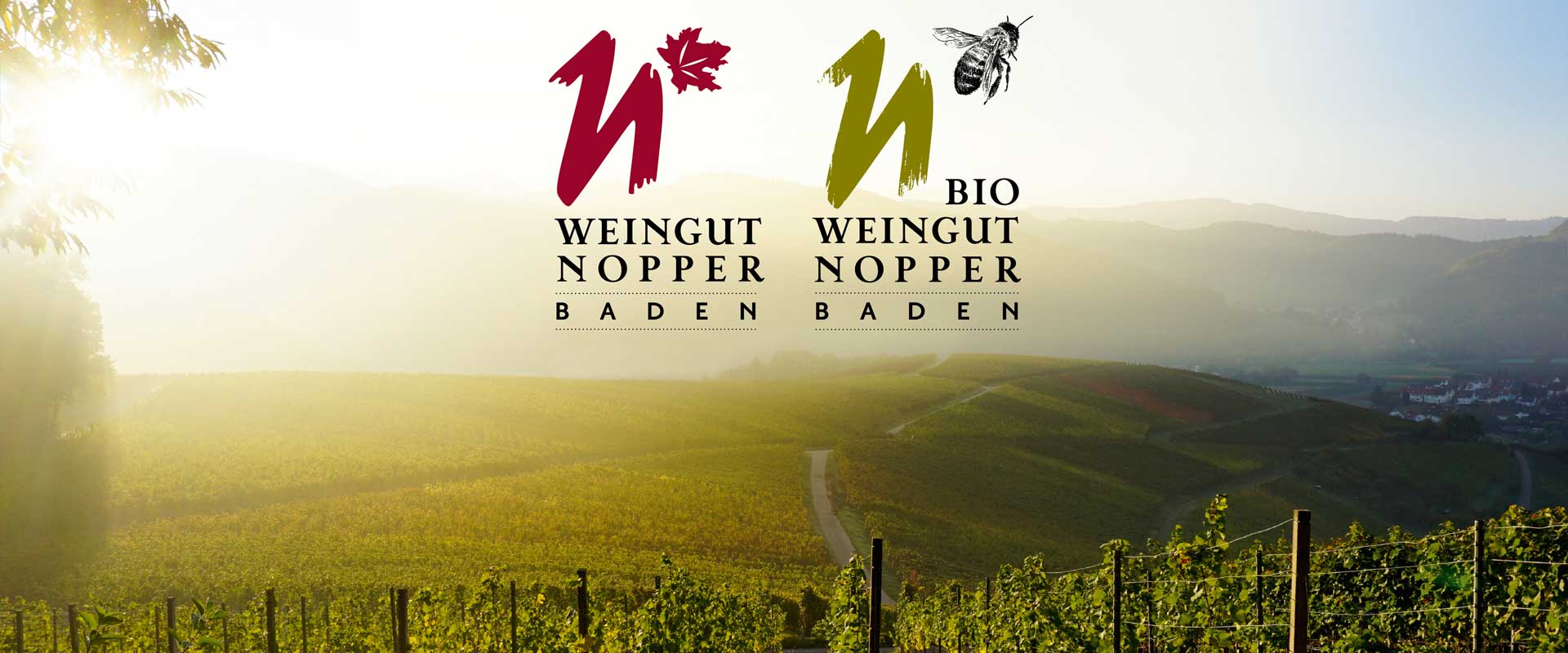 Weingut Nopper