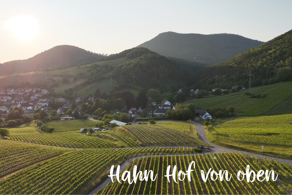 Weingut Hahn-Hof