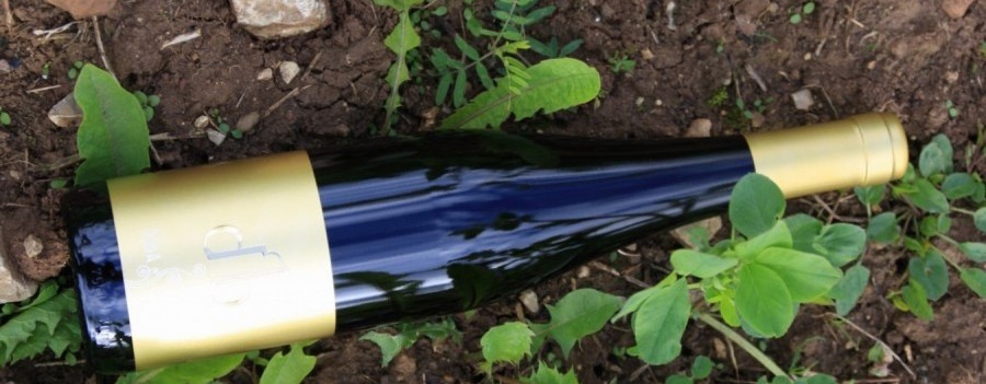 Weingut Bender