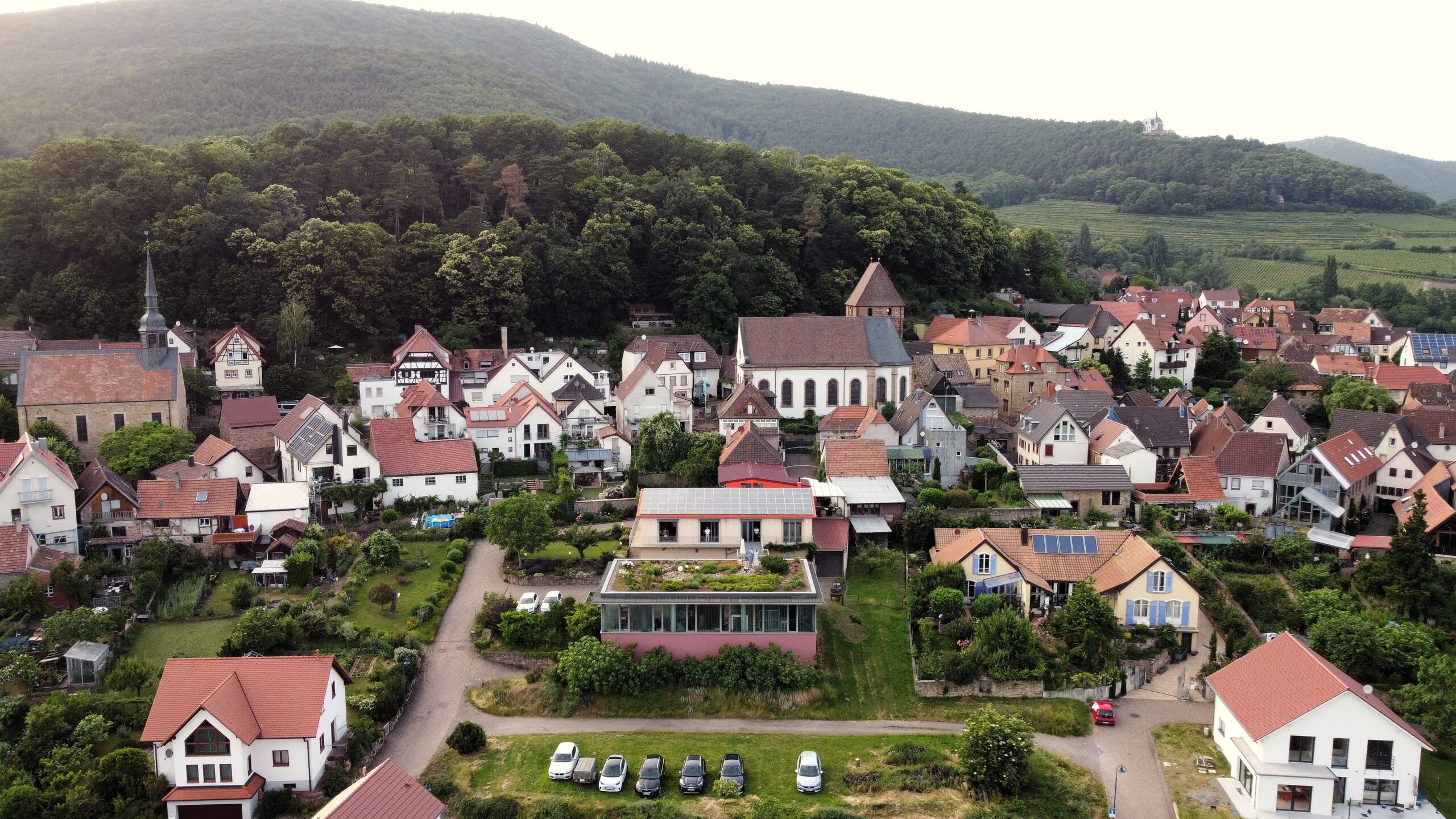 Weingut Argus GbR