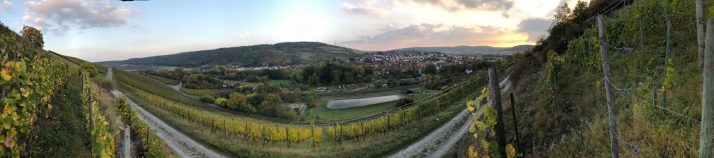Bioweingut Baumann
