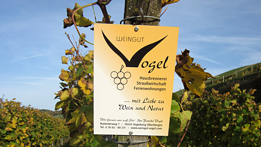 Weingut Vogel