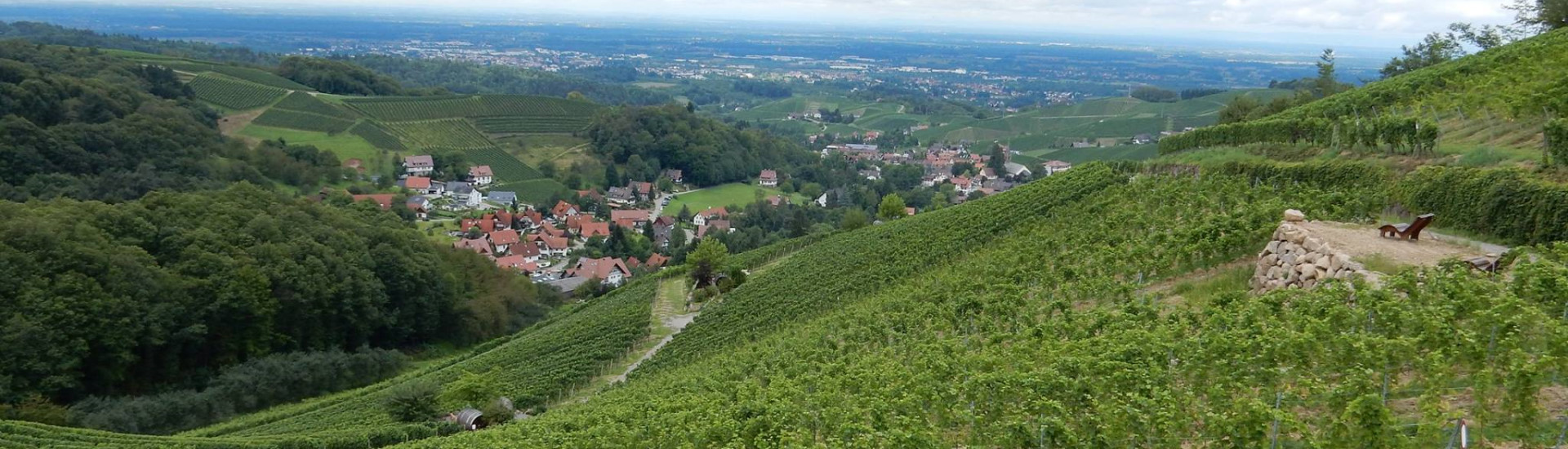s'Wilde Weingut