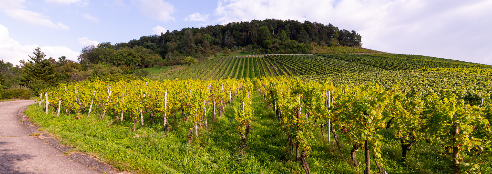 Brüderlich Weingut
