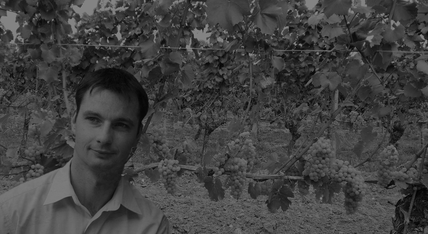 Weingut Milch