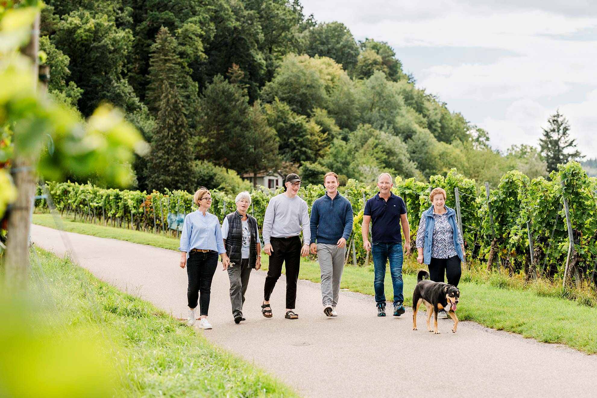 Weingut Luckert GbR