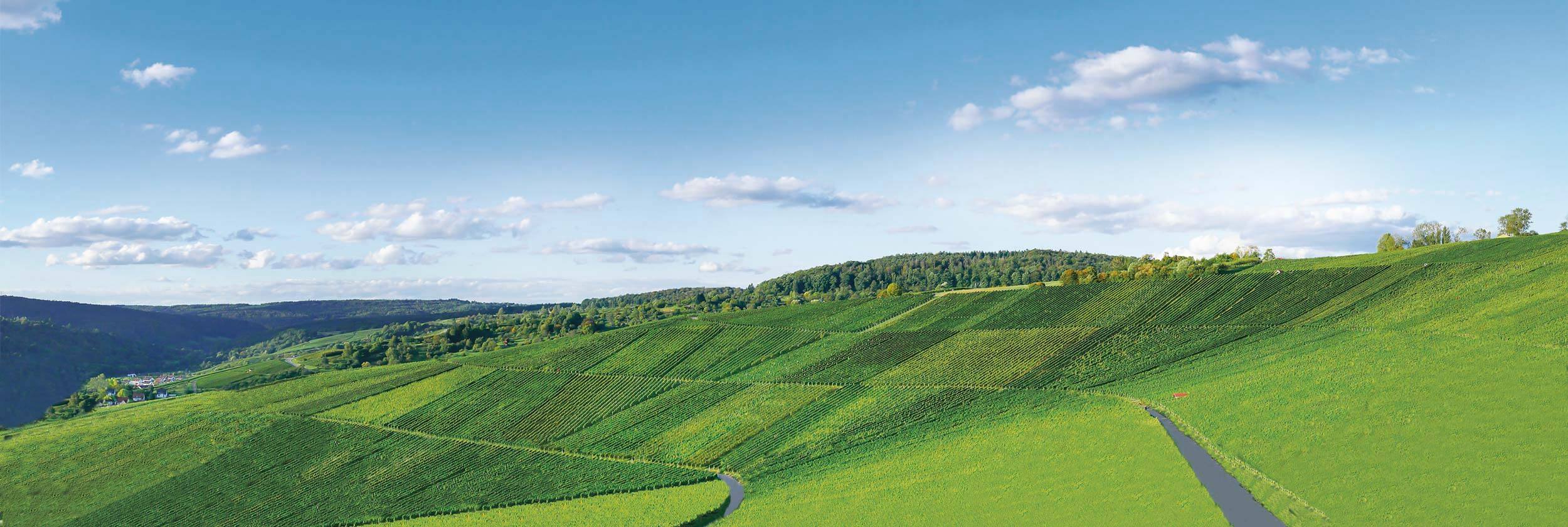 Weingut Gruber
