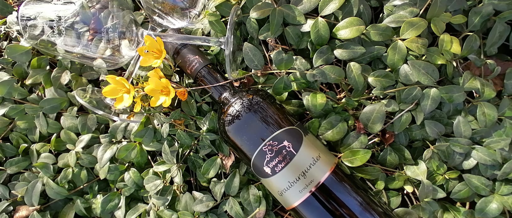 Weingut Schaaf