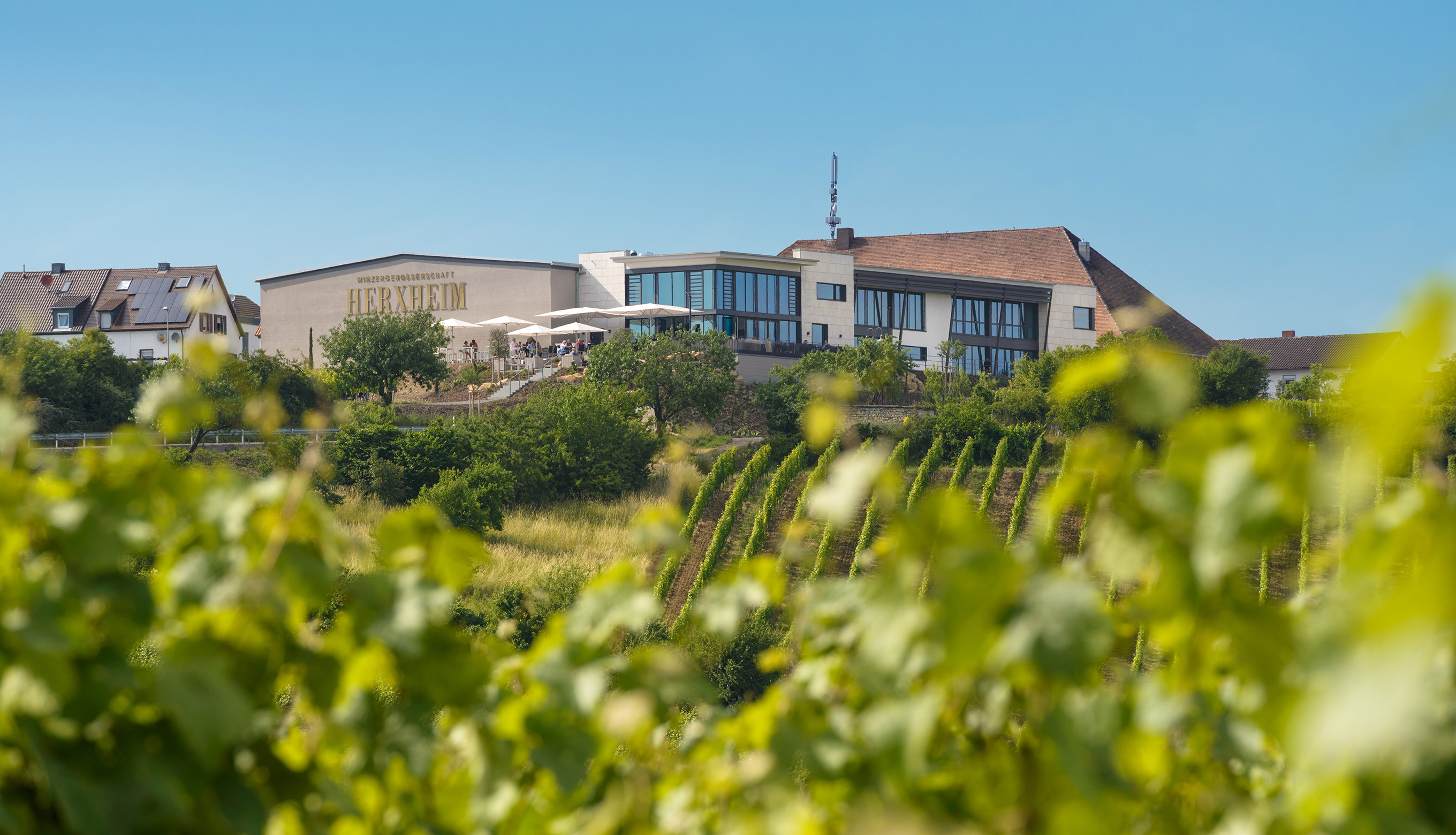 Winzergenossenschaft Herxheim am Berg