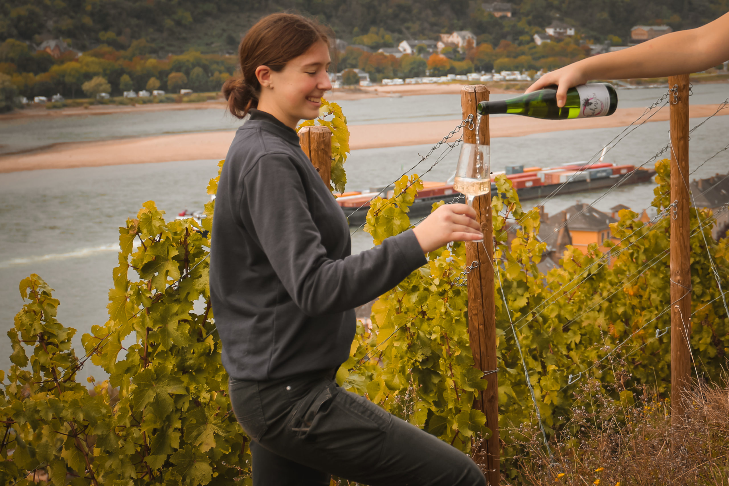 Weingut Persöhnlich