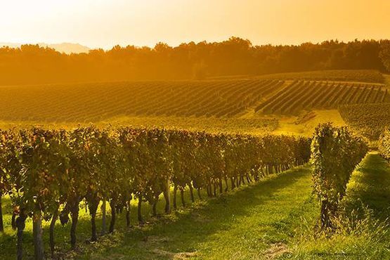Weinstube Kost