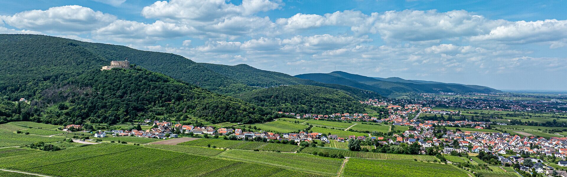 Weingut Rebenhof