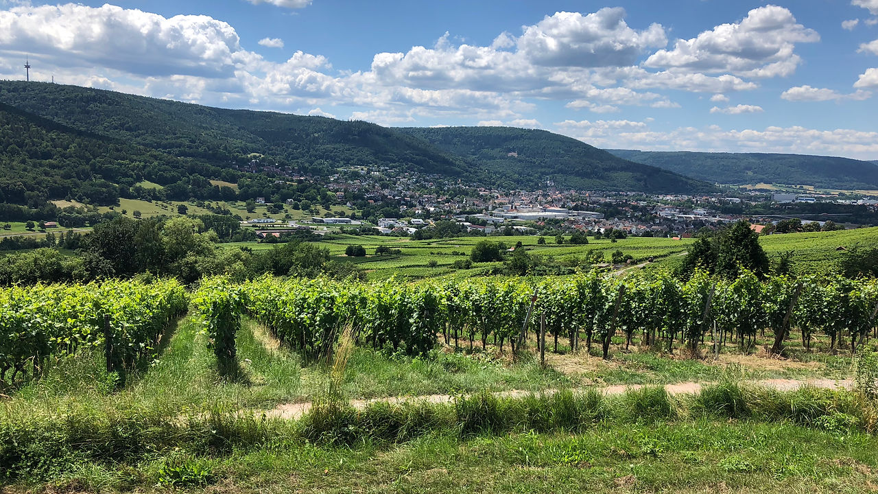 Weingut Sturm