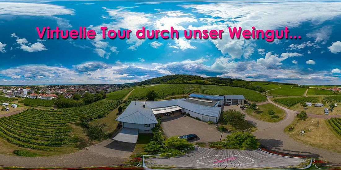 Weingut Hitziger