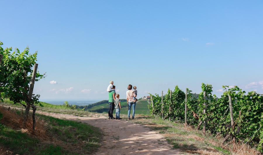 Weingut Vollmer