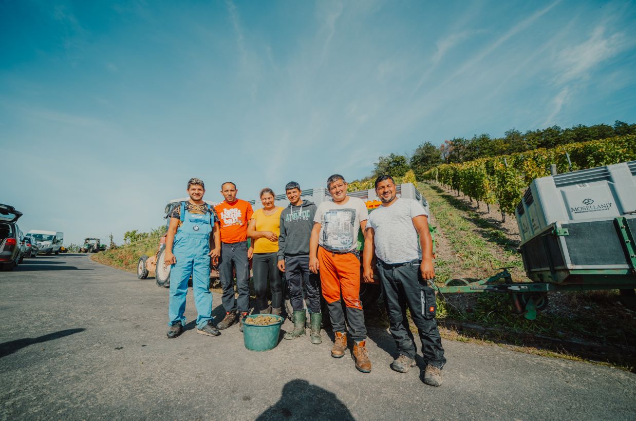 Weingut Kochan & Platz GbR
