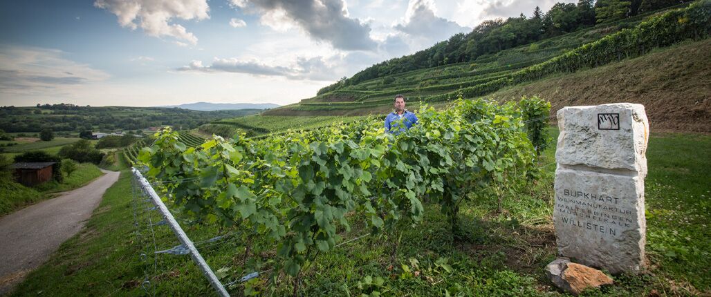 Weingut Mario J. Burkhart