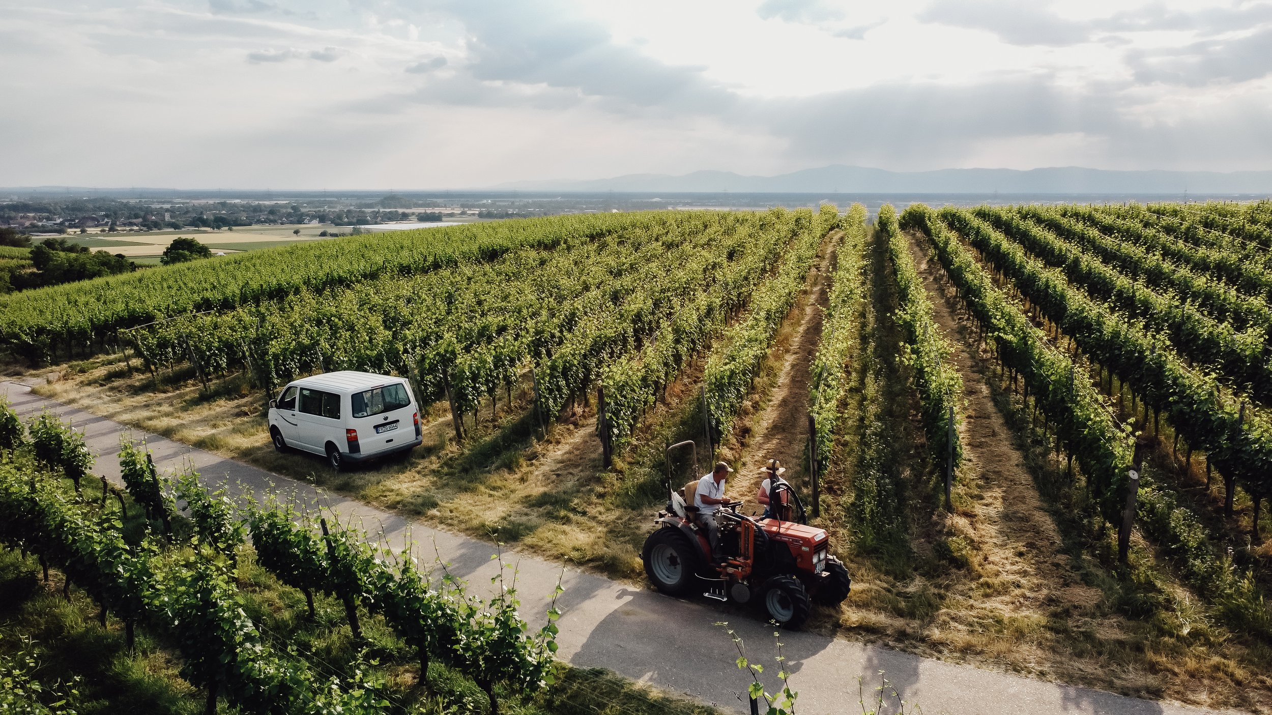 Weingut Feuerstein