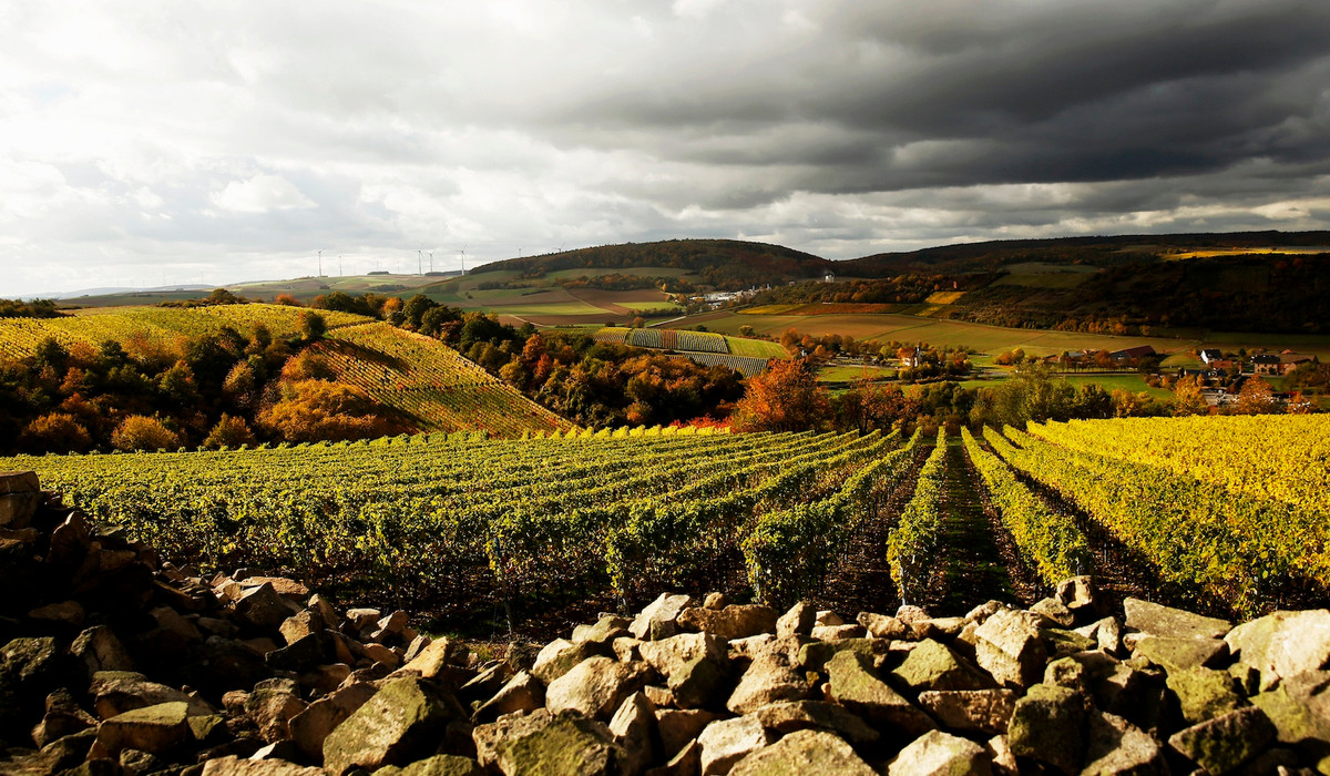 Weingut Steitz