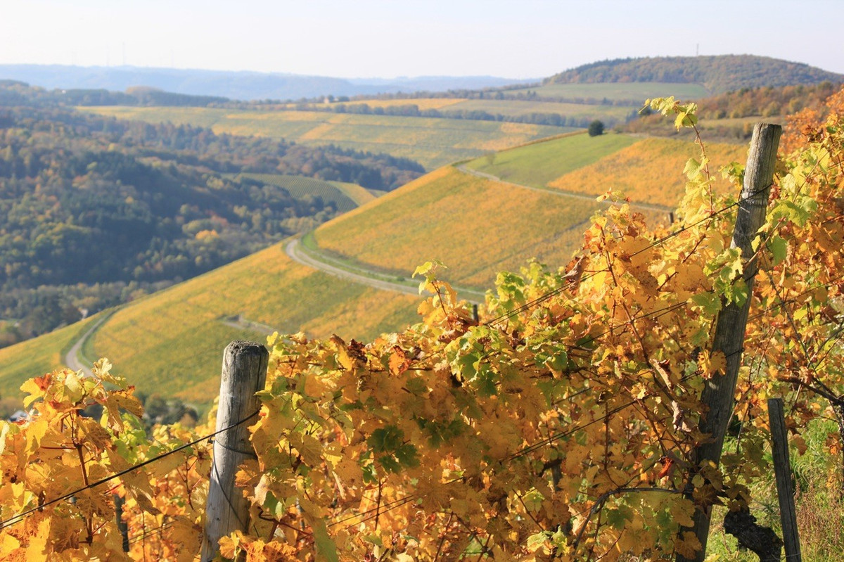 Dominikanerweingut C. von Nell-Breuning